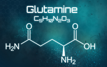 Benefits of Glutamine in Personal Training Nutrition Plan